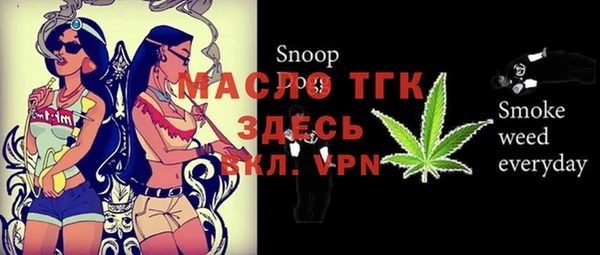 молекула духа Михайлов
