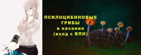 синтетический гашиш Медвежьегорск