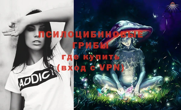 мяу мяу мука Медногорск