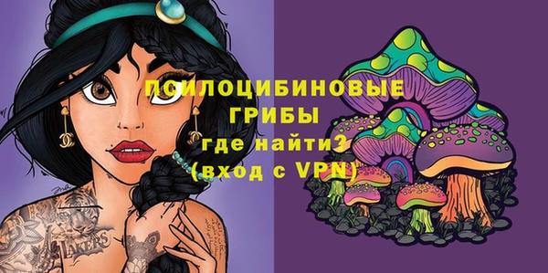 а пвп мука Мегион