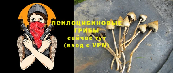 скорость Михайловка