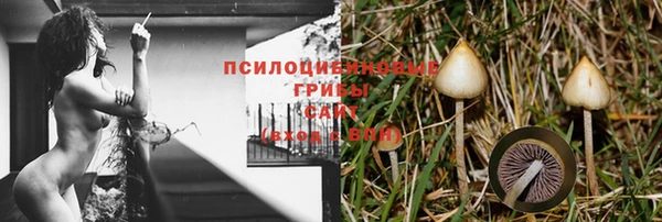 мяу мяу мука Медногорск
